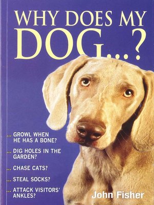 Why Does My Dog...? - ebook